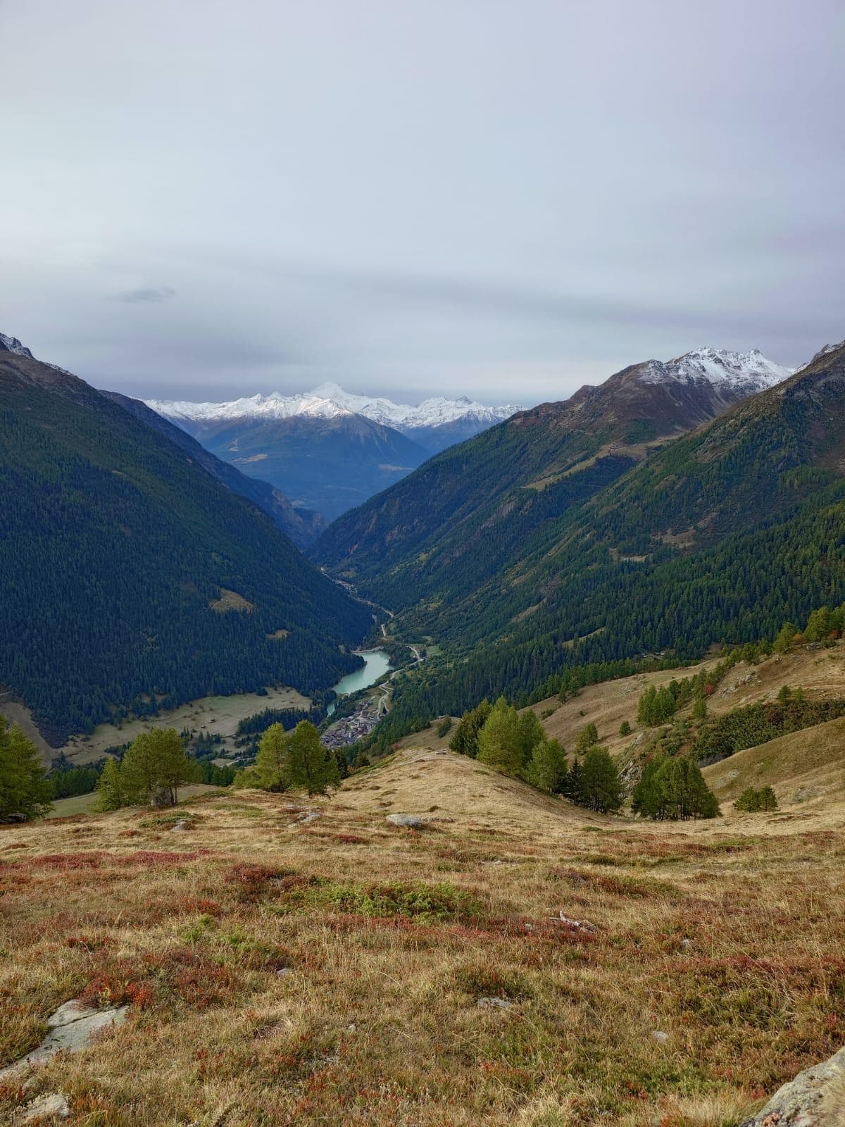 Wallis valley — apricot growing region